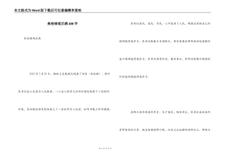 焦裕禄观后感400字