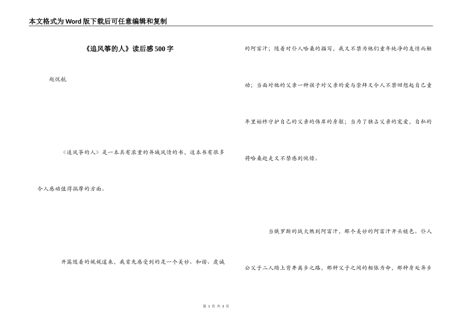 《追风筝的人》读后感500字_第1页