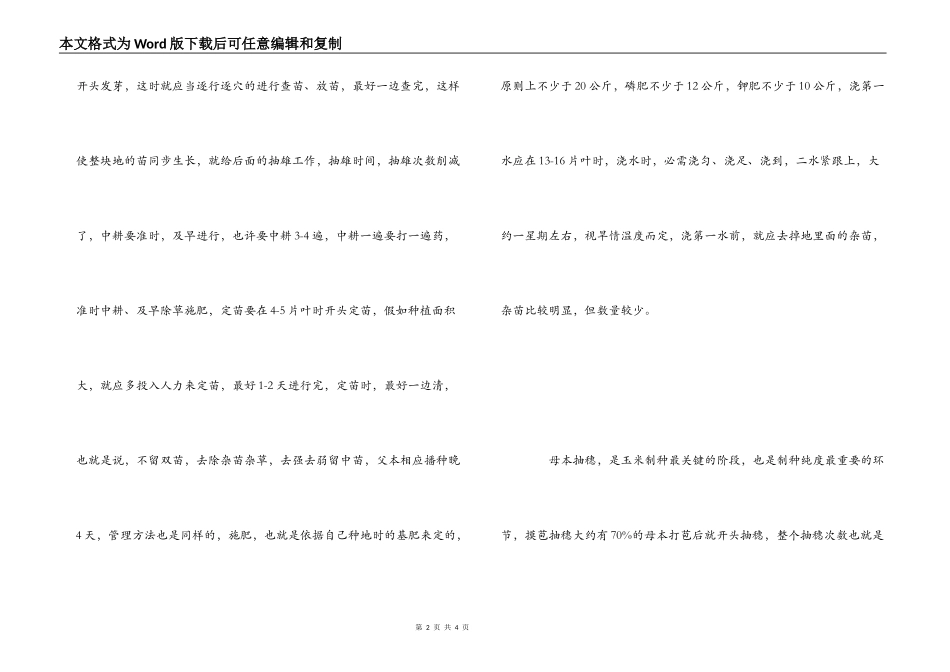 制种玉米经验交流_第2页