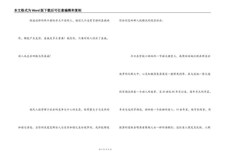 老人与海鸥读后感_第3页