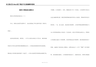 绿林大冒险观后感范文