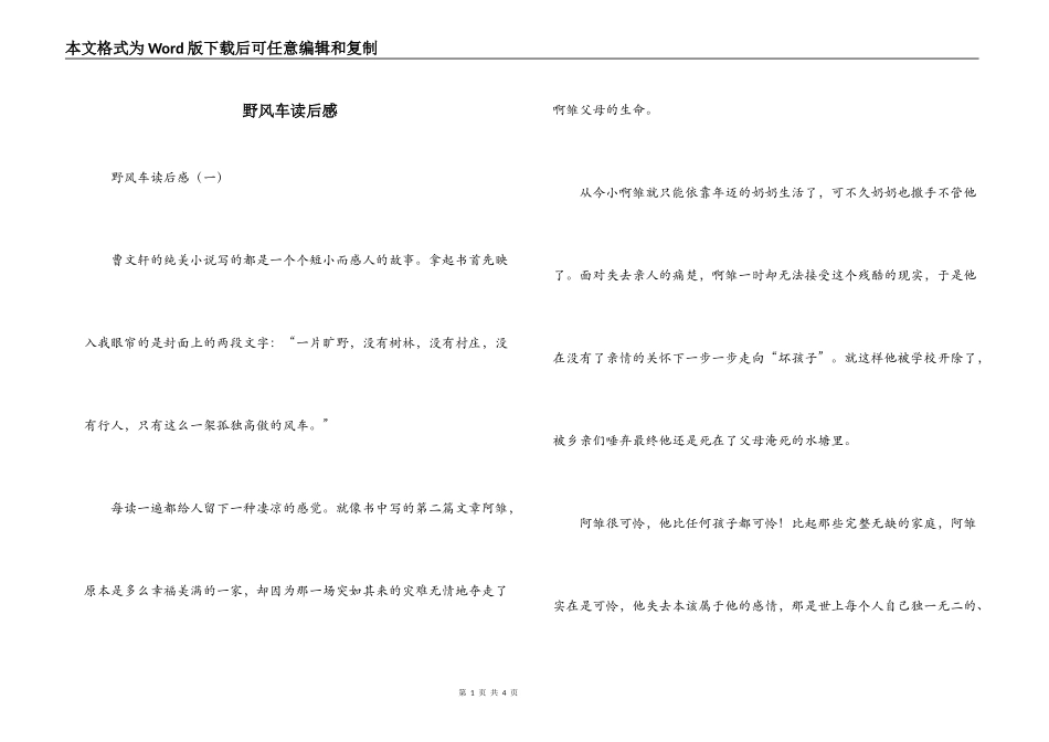野风车读后感_第1页