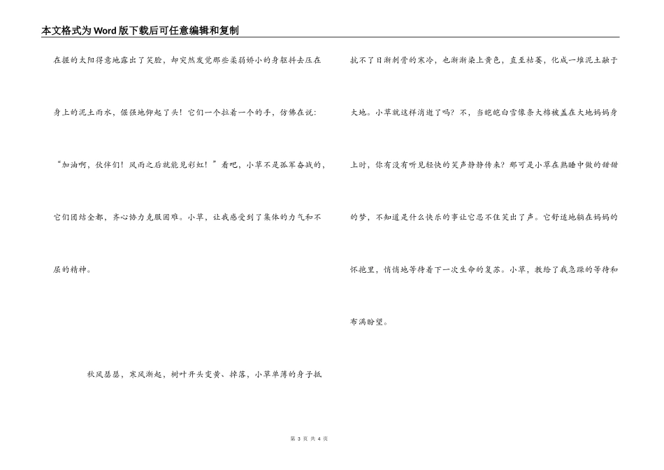 有关小草的作文_第3页