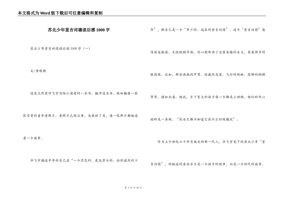 苏北少年堂吉诃德读后感1000字_第1页