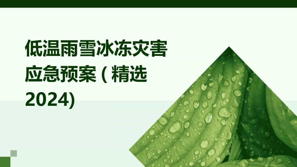 低温雨雪冰冻灾害应急预案(精选2024)_第1页