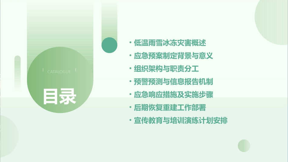 低温雨雪冰冻灾害应急预案(精选2024)_第2页