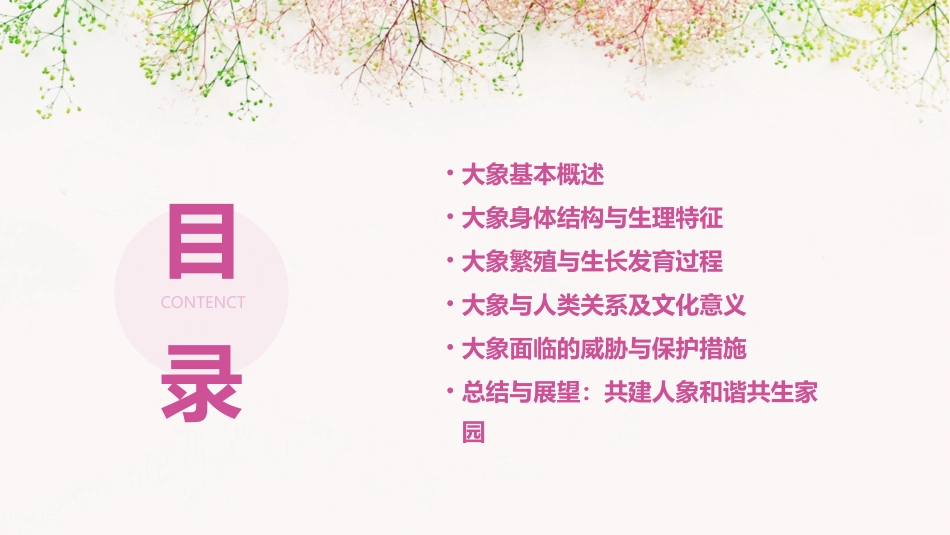 大象介绍课件_第2页