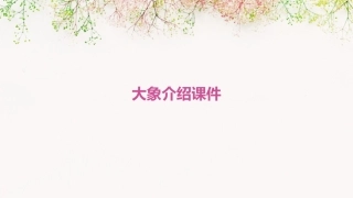 大象介绍课件