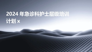 2024年急诊科护士层级培训计划x