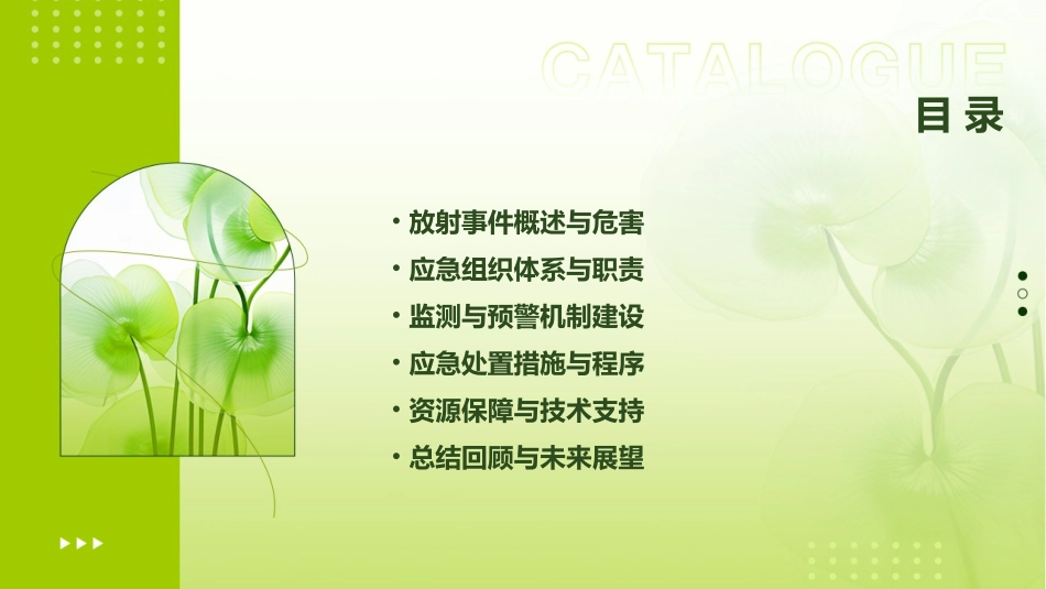 2024精选放射事件应急预案_第2页
