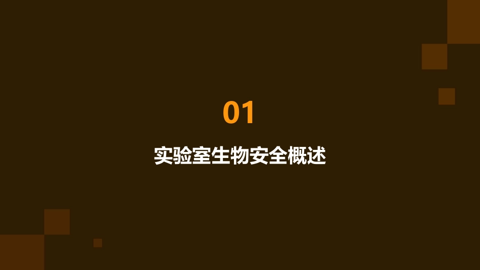 实验室生物安全培训课件_第3页