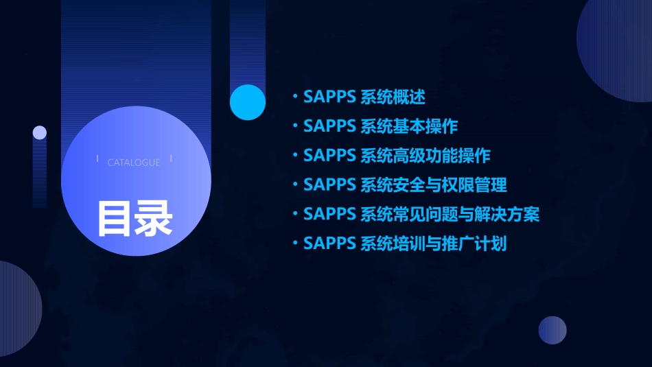 SAPPS操作手册_第2页