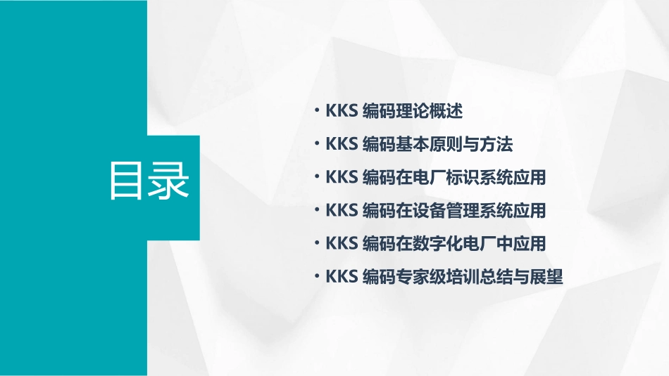 KKS编码理论专家级培训_第2页