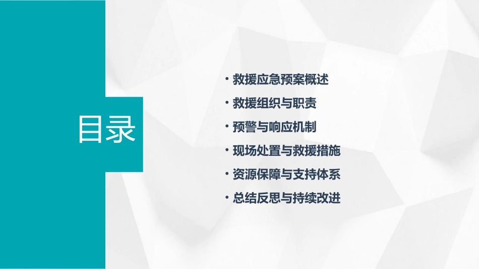 救援应急预案(精选)_第2页