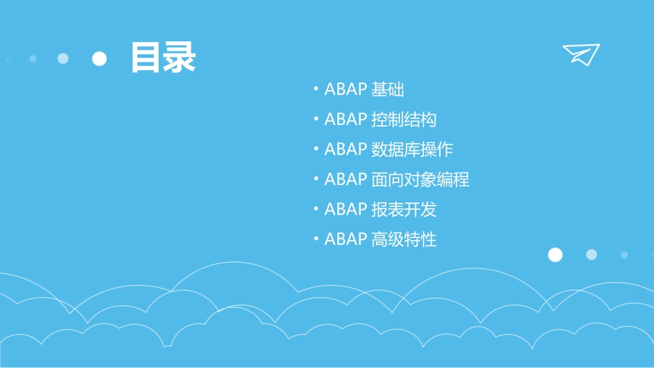 ABAP培训教程_第2页