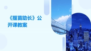 《揠苗助长》公开课教案