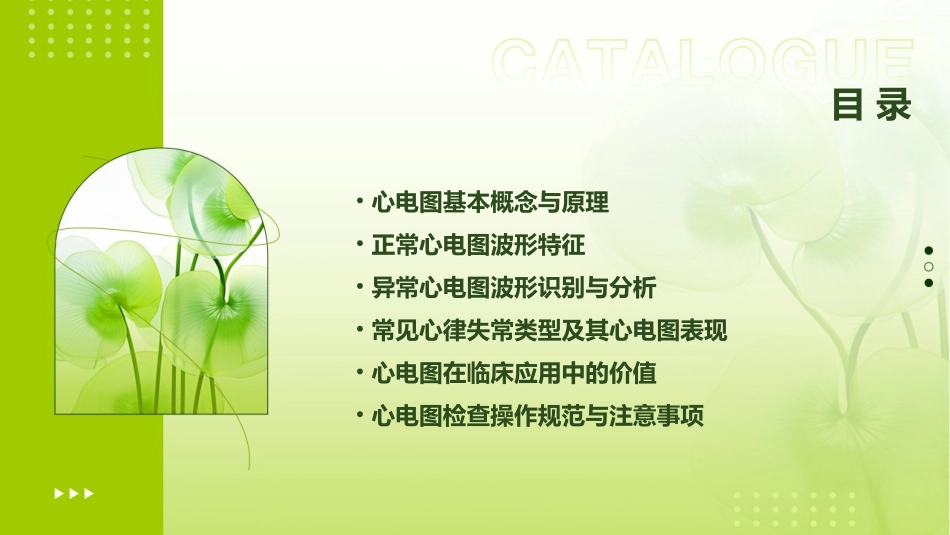 《心电图基础一》课件_第2页