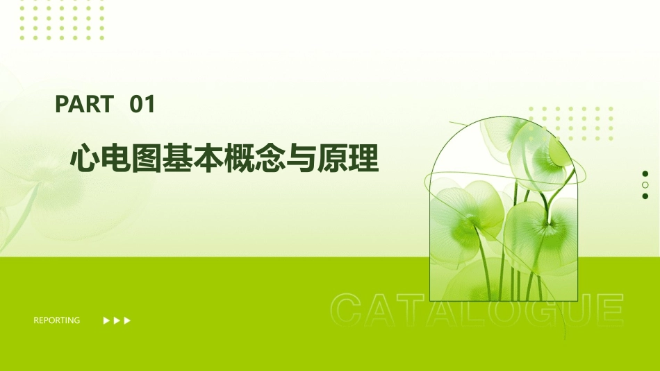 《心电图基础一》课件_第3页