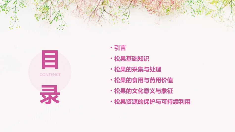 数松果课件ppt课件_第2页