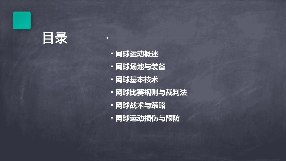 网球运动基本知识及规则ppt课件_第2页