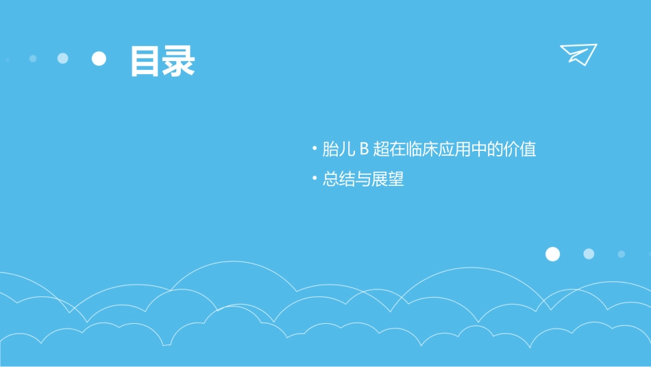 医学产科胎儿各种B超图片课件_第3页
