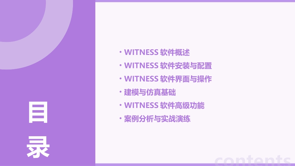 WITNESS基础教程_第2页