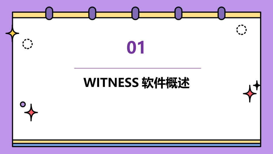 WITNESS基础教程_第3页