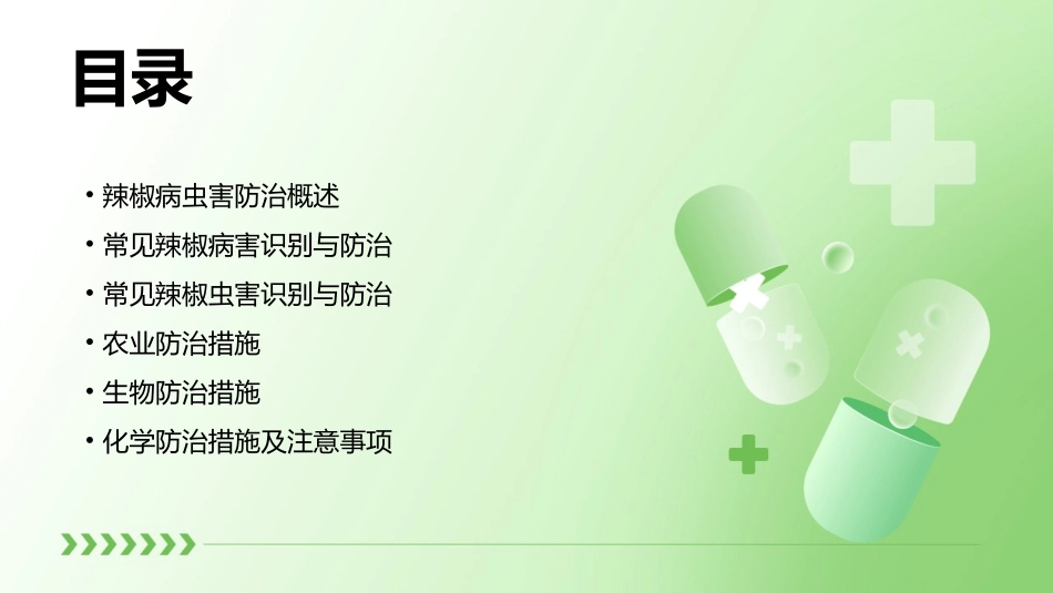 辣椒病虫害防治ppt精选_第2页