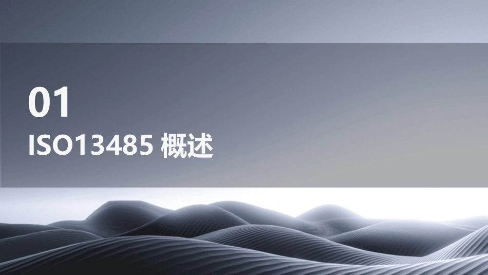 管理体系文件ISO13485_第3页