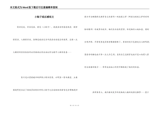 小鞋子观后感范文