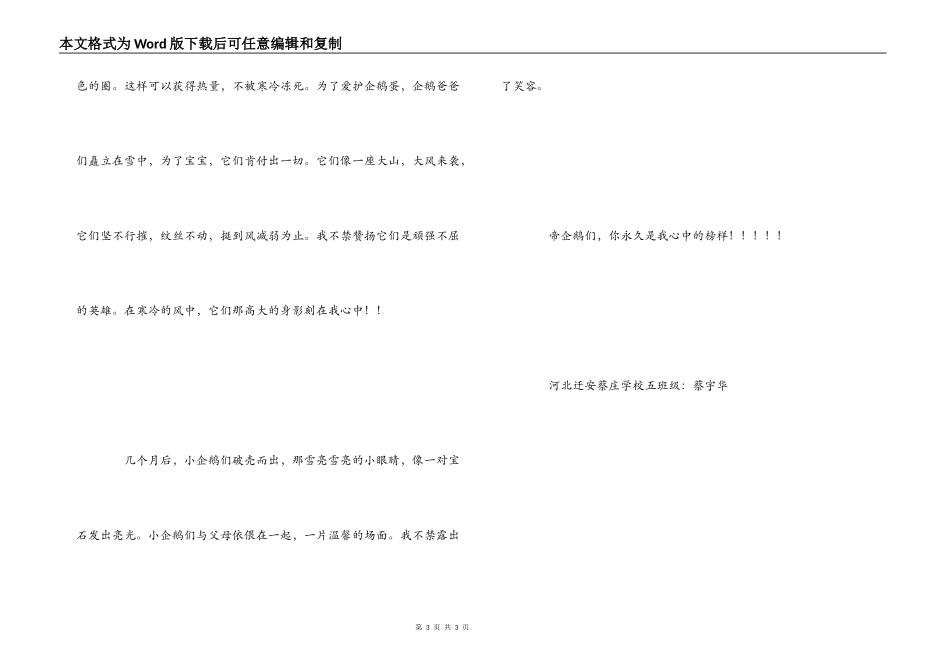 帝企鹅日记观后感800字_第3页