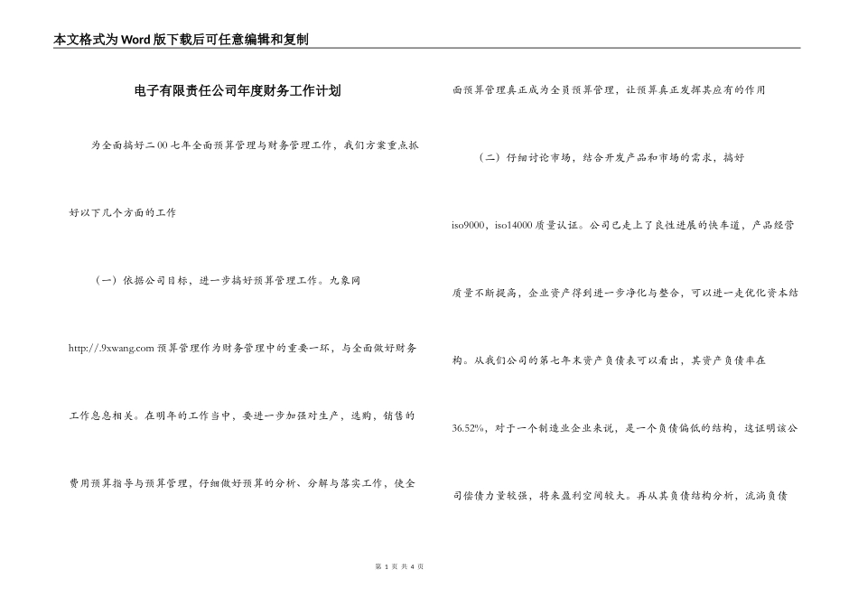 电子有限责任公司年度财务工作计划_第1页