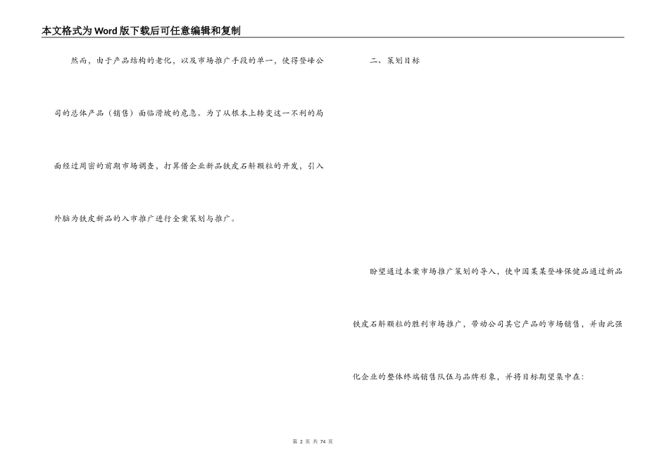 市场推广策划方案_第2页