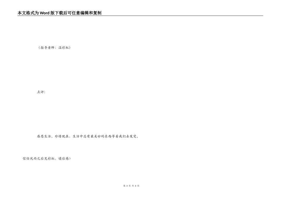 《亮堂堂的除夕》读后感_第3页