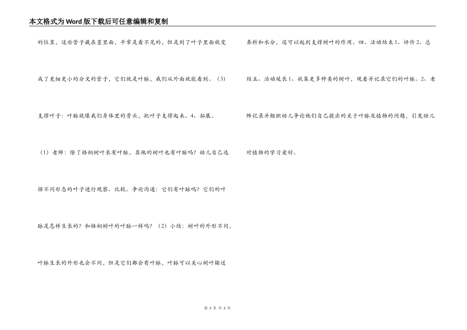 幼儿园大班科学教案：梧桐树叶脉的秘密_第3页