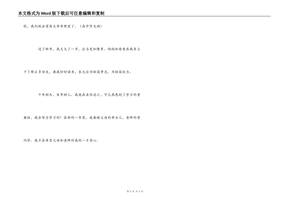 六年级新年见闻作文_第2页