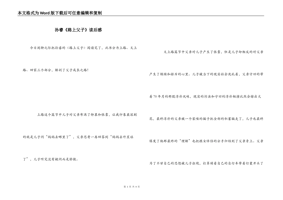 孙睿《路上父子》读后感_第1页