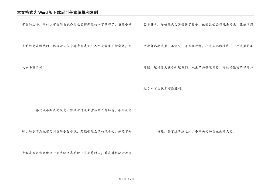 《小布头奇遇记》观后感_第3页