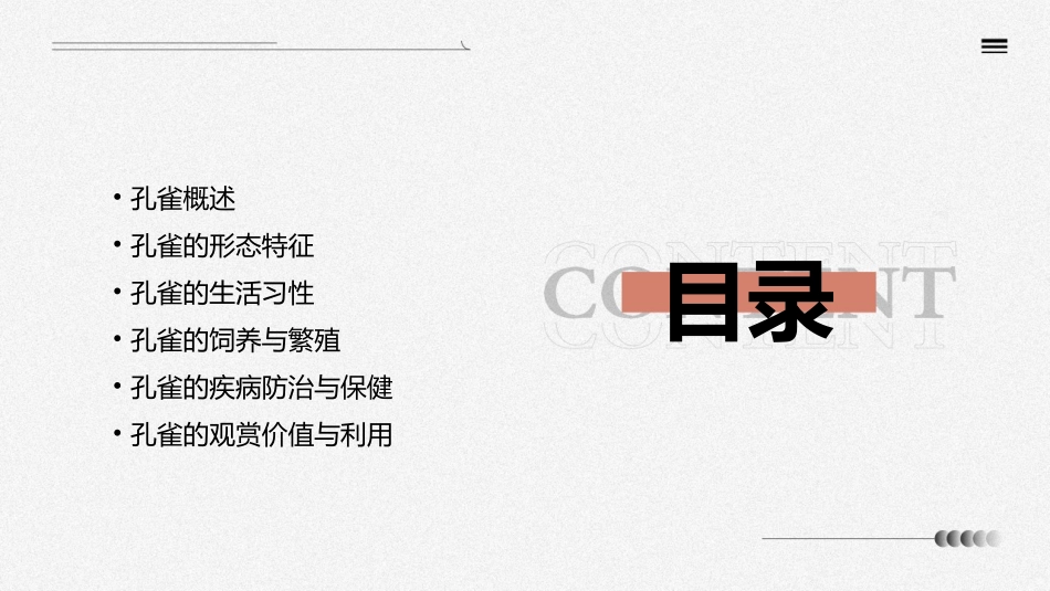 《美丽孔雀》PPT免费课件_第2页