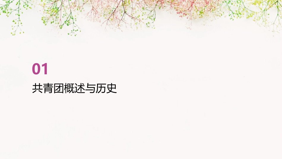 共青团团课ppt课件_第3页