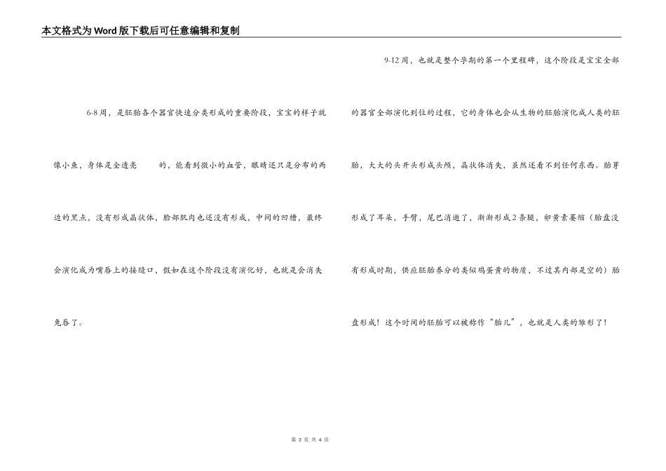 《子宫日记》观后感_第3页