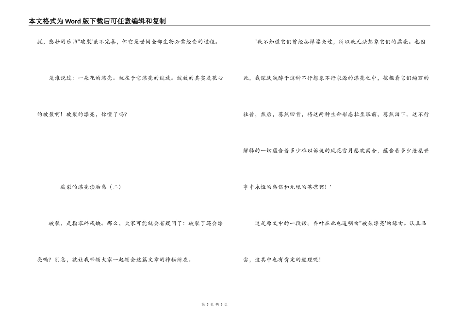 破碎的美丽读后感_第3页