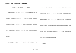 湖南燕京啤酒有限公司社会实践报告