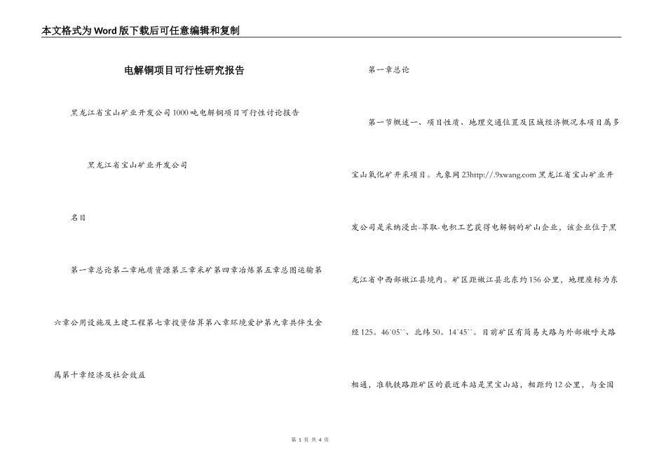 电解铜项目可行性研究报告_第1页