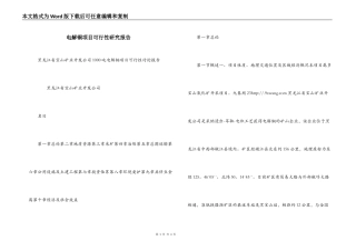 电解铜项目可行性研究报告