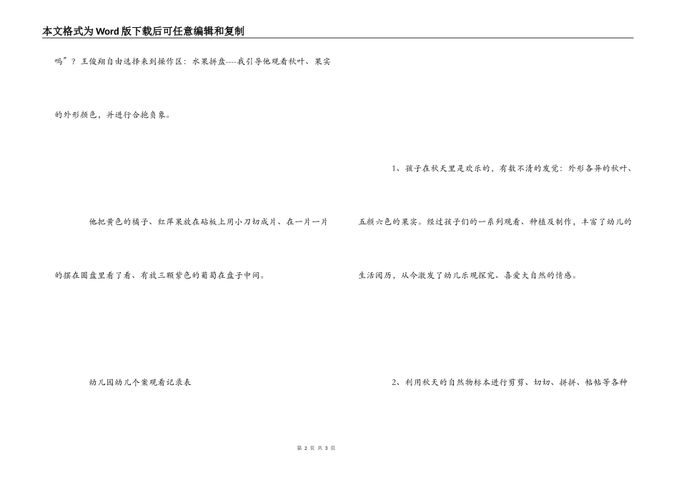 幼儿园幼儿个案观察记录表_第2页