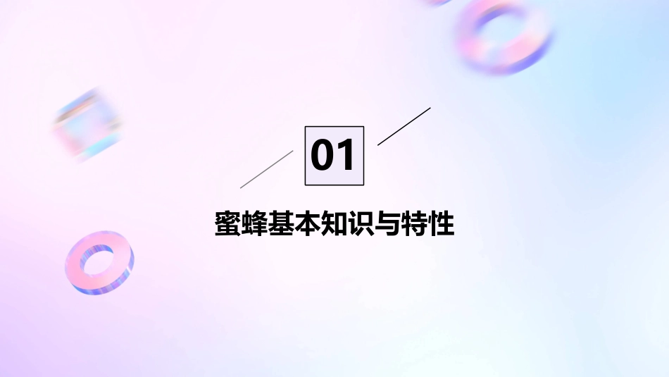 《蜜蜂》PPT免费_第3页