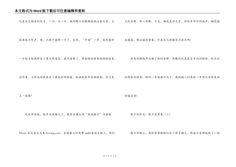 除夕的作文：除夕夜景象_第2页