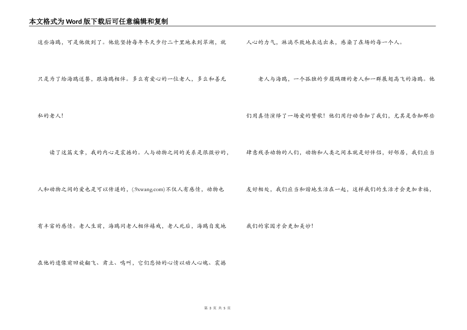 海鸥老人读后感_第3页