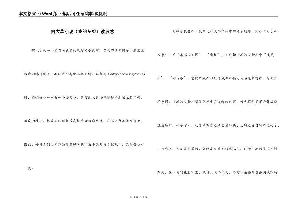 何大草小说《我的左脸》读后感_第1页